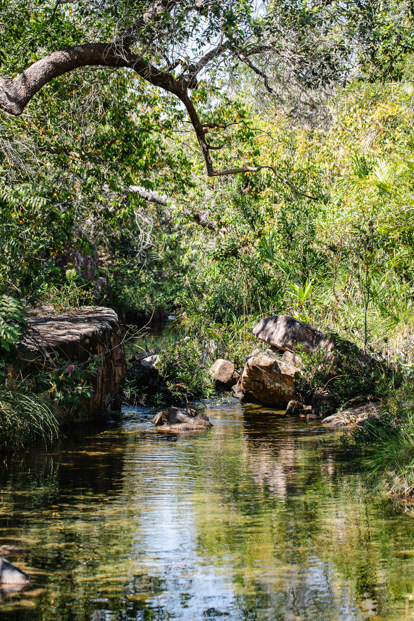 Piscina natural de água morna